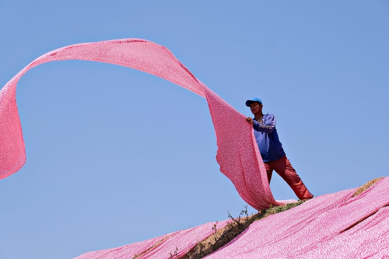 Eco-Friendly Fabrics